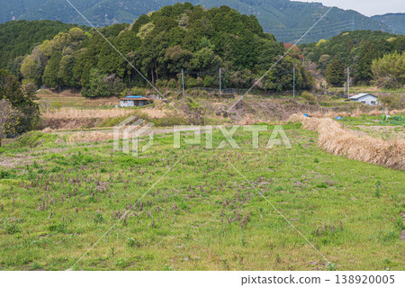 Terraced rice fields in Ogi, Otsu City, Shiga Prefecture Terraced rice fields in Ogi, Otsu City, Shiga Prefecture 138920005
