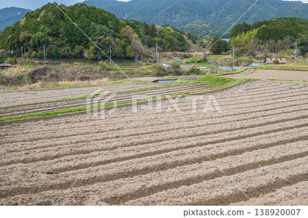 Terraced rice fields in Ogi, Otsu City, Shiga Prefecture Terraced rice fields in Ogi, Otsu City, Shiga Prefecture 138920007