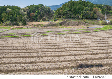 滋賀縣大津市荻町的梯田 滋賀縣大津市荻町的梯田 138920008