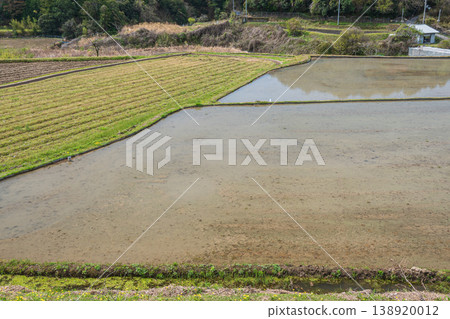 Terraced rice fields in Ogi, Otsu City, Shiga Prefecture 138920012