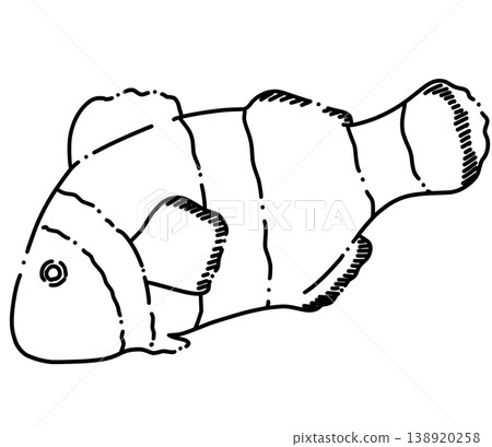 A loose line drawing illustration of a clownfish with broken lines. A loose line drawing illustration of a clownfish with broken lines. 138920258