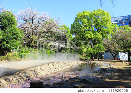 Cherry blossoms at Hamamachi Park Cherry blossoms at Hamamachi Park 138920406
