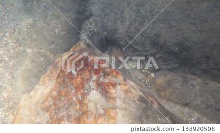 Underwater photograph 138920508