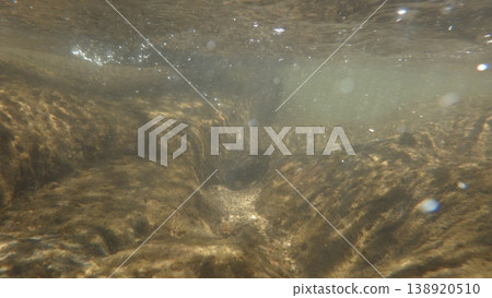 Underwater photograph Underwater photograph 138920510