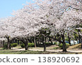 Cherry blossoms at Minami Oita Sports Park 138920692