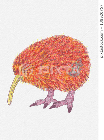 kiwi 138920757