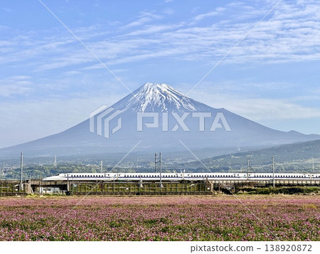從荷花田中眺望新幹線和富士山。 從荷花田中眺望新幹線和富士山。 138920872
