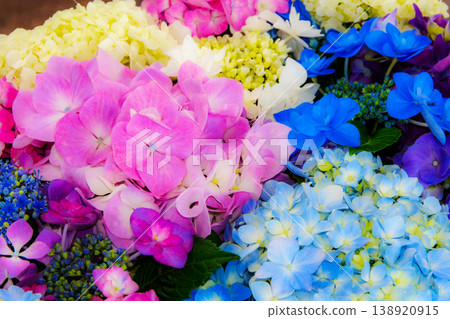 A water basin filled with brightly colored hydrangea flowers. A water basin filled with brightly colored hydrangea flowers. 138920915