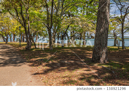 滋賀縣大津市瀨澤城跡公園 138921296