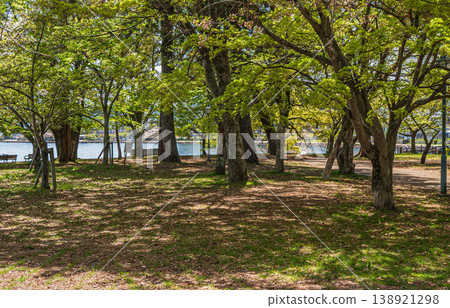 滋賀縣大津市瀨澤城跡公園 滋賀縣大津市瀨澤城跡公園 138921298