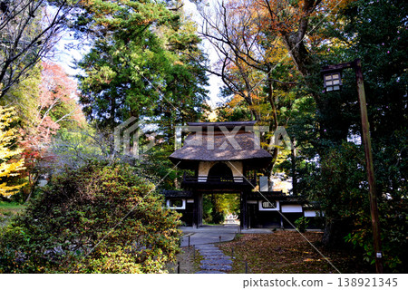 Autumn leaves at Sainenji Temple, 2025-11-16, #68 Autumn leaves at Sainenji Temple, 2025-11-16, #68 138921345