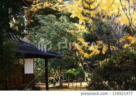 Autumn leaves at Sainenji Temple, 2025-11-16, #75 Autumn leaves at Sainenji Temple, 2025-11-16, #75 138921477