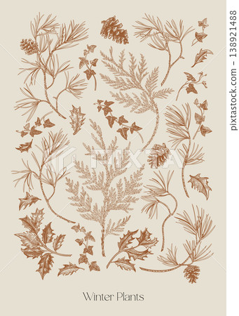 Set: holly, pine, cedar, ivy, fir and pinecones Set: holly, pine, cedar, ivy, fir and pinecones 138921488