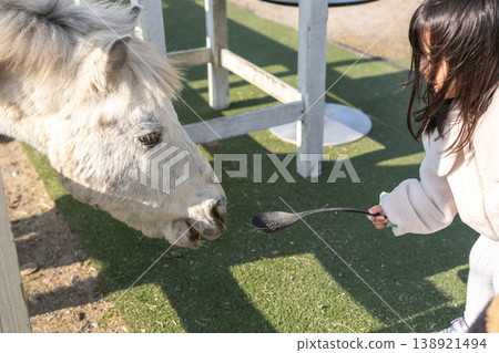 A girl who feeds a horse A girl who feeds a horse 138921494