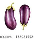 Hand-drawn illustration of two ripe, dark purple eggplants isolated on white background 138921552