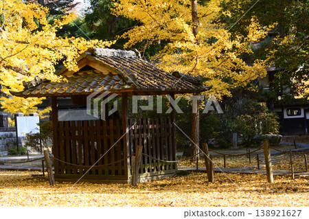 Autumn leaves at Sainenji Temple, 2025-11-16, #81 Autumn leaves at Sainenji Temple, 2025-11-16, #81 138921627
