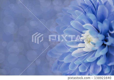 Deep, artistic abstract: heavy blur on petals creating a rich violet and blue background texture 138921640