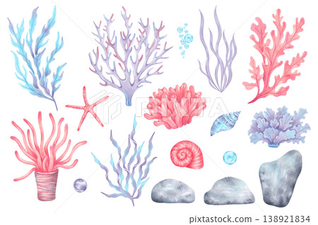 Set of marine elements shells, starfish, corals, seaweed, stones and bubbles. Underwater world of the seabed. Hand drawn watercolor illustration. Clipart for childrens design, tourism and travel Set of marine elements shells, starfish, corals, seaweed, stones and bubbles. Underwater world of the seabed. Hand drawn watercolor illustration. Clipart for childrens design, tourism and travel 138921834