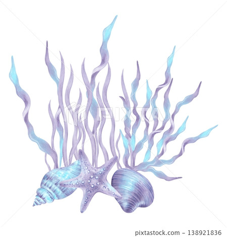 Composition with seaweed, starfish and shell. Marine watercolor illustration with elements of the ocean floor. Hand drawn isolated art. Drawing for children's design, travel and packaging. Composition with seaweed, starfish and shell. Marine watercolor illustration with elements of the ocean floor. Hand drawn isolated art. Drawing for children's design, travel and packaging. 138921836