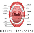 An illustration showing the inside of an adult's mouth with their mouth wide open, clearly illustrating the teeth and throat. 138922173