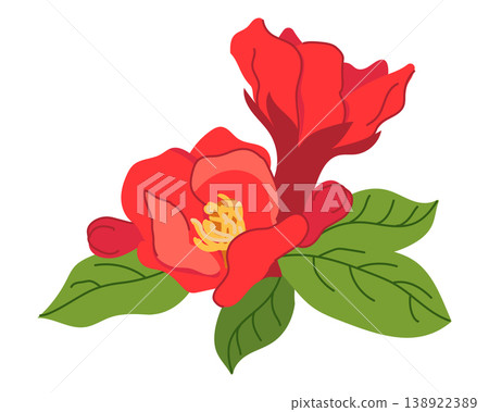 Bright pomegranate flowers and leaves. Vector illustration of red summer flower. Flat style clipart. In the East, it symbolizes love, prosperity, and perfection. Tree of Paradise by Muslims. Bright pomegranate flowers and leaves. Vector illustration of red summer flower. Flat style clipart. In the East, it symbolizes love, prosperity, and perfection. Tree of Paradise by Muslims. 138922389