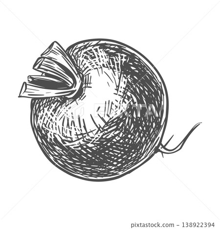 A sketch of a radish lying on a table. Vector illustration of the vegetable in an engraving style. The whole root with trimmed leaves is depicted on a white background. Hand-drawn, imitating etching. A sketch of a radish lying on a table. Vector illustration of the vegetable in an engraving style. The whole root with trimmed leaves is depicted on a white background. Hand-drawn, imitating etching. 138922394