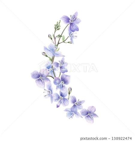 A semicircular bouquet of wild forest forget-me-nots. This isolated watercolor illustration is suitable for postcard design, textiles, nature websites, and eco-themed projects. A semicircular bouquet of wild forest forget-me-nots. This isolated watercolor illustration is suitable for postcard design, textiles, nature websites, and eco-themed projects. 138922474