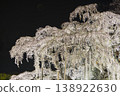 The illuminated Miharu Takizakura cherry tree 138922630