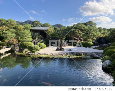 A garden with a pond 138923049