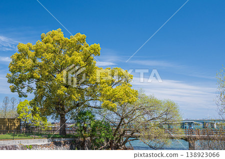 澤澤城遺址公園，綠樹成蔭，生機盎然，位於滋賀縣大津市 138923066