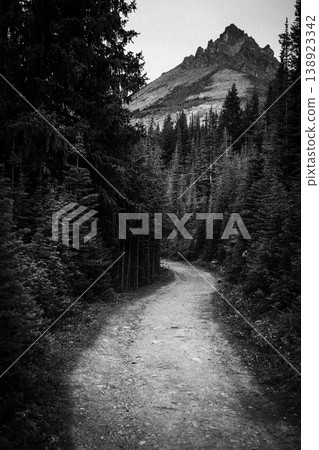 On the way to Peyto Loch, Jimmy Simpson Mountain appears beyond the forest. On the way to Peyto Loch, Jimmy Simpson Mountain appears beyond the forest. 138923342