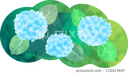 水彩風格的繡球花插圖 - 藍色 138923697