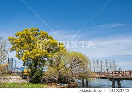 澤澤城遺址公園，綠樹成蔭，生機盎然，位於滋賀縣大津市 138923700