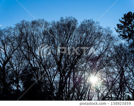 冬日景色,藍天映襯。 冬日景色,藍天映襯。 138923859