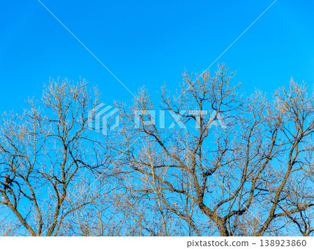 冬日景色,藍天映襯。 冬日景色,藍天映襯。 138923860