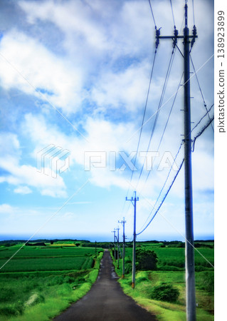 這是電影《秒速五公分》的取景地──種子島甘蔗田中一條上學路線的場景。 138923899