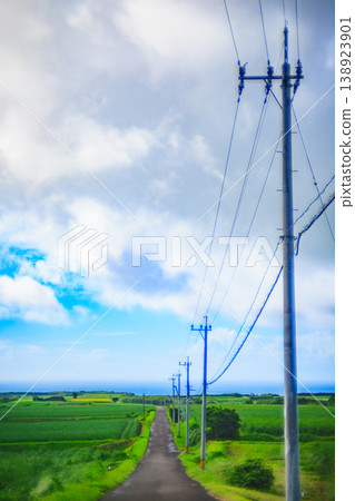 A nostalgic atmosphere, the scenery of school routes and utility poles on Tanegashima Island. A nostalgic atmosphere, the scenery of school routes and utility poles on Tanegashima Island. 138923901