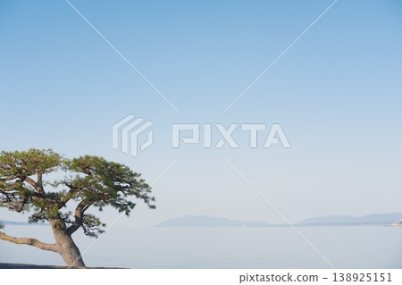 一棵孤零零的松樹倒映在水面上,遠處有連綿的山脈和寧靜的天空。 一棵孤零零的松樹倒映在水面上,遠處有連綿的山脈和寧靜的天空。 138925151