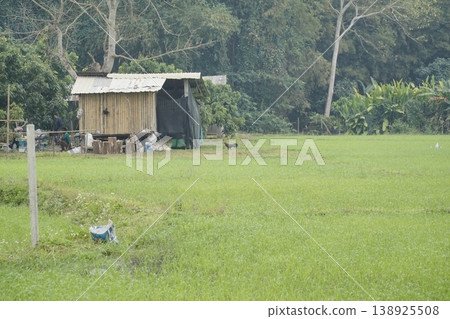 Small hut is in the middle of a field Small hut is in the middle of a field 138925508