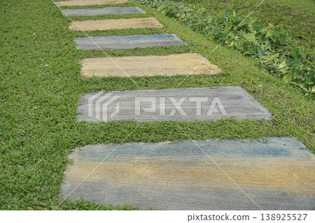 Path with a series of stepping stones is shown 138925527