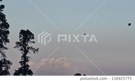 Bird flies over a mountain range with a clear blue sky in the background 138925775