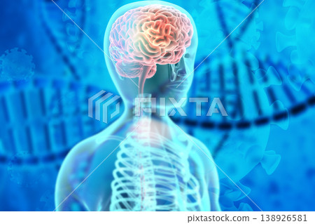Human brain anatomy on dna background. Genetics study concept Human brain anatomy on dna background. Genetics study concept 138926581
