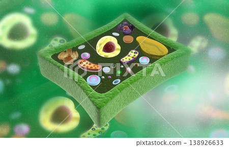 Plant cells anatomy on abstract background 138926633