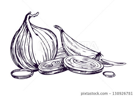 Onion bulb and sliced onion ring illustration. Hand drawn graphic ink sketch of onion vegetable. Monochrome outline artwork for food menu, kitchen recipe, organic farm market design. 138926781