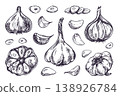 Hand drawn garlic vegetable illustration set. Sketch of clove and organic bulb for kitchen recipe design and food packaging. Ink artistic drawing for grocery store menu graphic element. 138926784