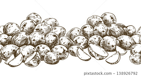 Hand drawn potato vegetable outline illustration. Monochrome ink sketch of raw potatoes for culinary design, harvest market, fresh farm food package and kitchen menu graphic seamless border. 138926792