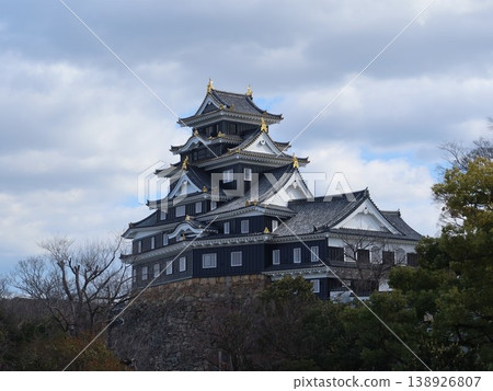 岡山城堡城堡塔 岡山城堡城堡塔 138926807