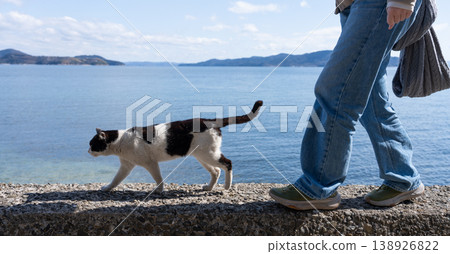 一隻流浪貓和一個沿著堤防行走的人 一隻流浪貓和一個沿著堤防行走的人 138926822