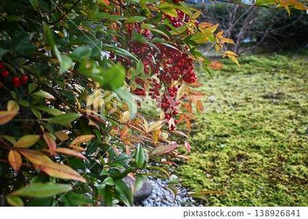 紅色水果 紅色水果 138926841