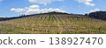 Orchard wird protection nets 138927470